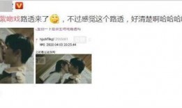 肖战杨紫最新大爆料是哪一期,揭秘精彩幕后故事，哪一期节目成焦点？